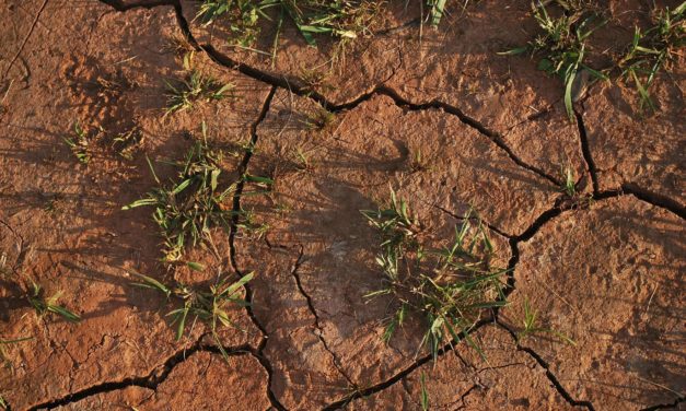 La pluie provoquée chimiquement au Niger pour réduire la sécheresse
